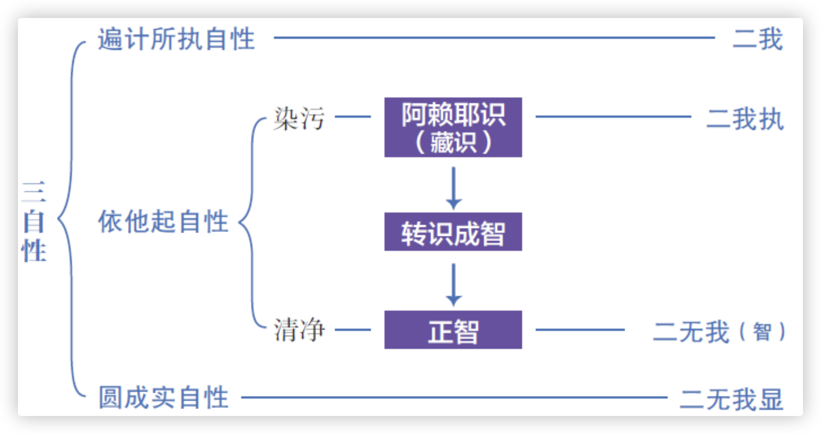 楞伽经法义-2.png